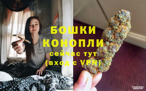 кокс Нея