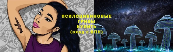 ПСИЛОЦИБИНОВЫЕ ГРИБЫ Покровск
