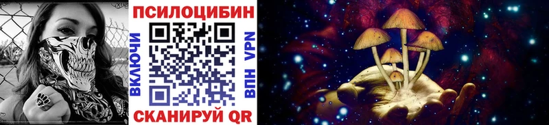 Галлюциногенные грибы MAGIC MUSHROOMS  купить закладку  Окуловка 